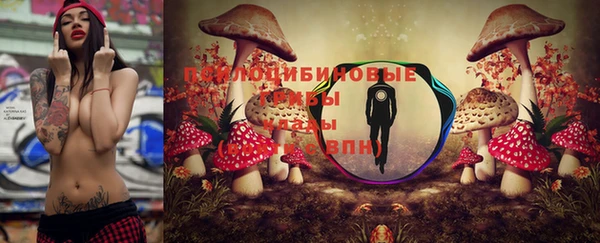 гашик Навашино