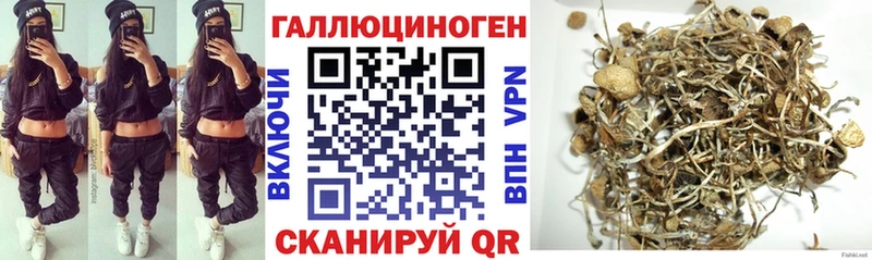 наркотики  Абдулино  Галлюциногенные грибы Psilocybine cubensis 